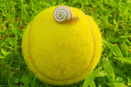 tennis-e-padel-base-plantari